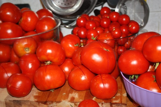 tomates la fabrica quoi?