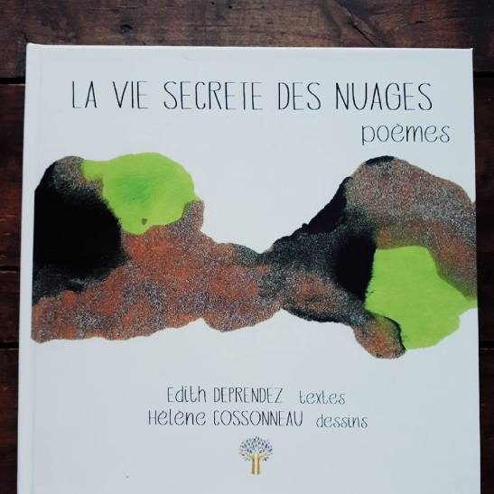 la vie secrete des nuages Edith Deprendez
